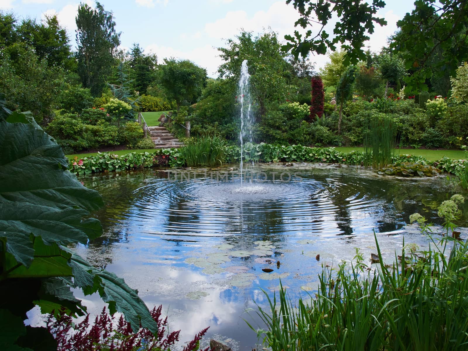 Ornamental pond and water fountain in a beautiful creative lush green blooming garden