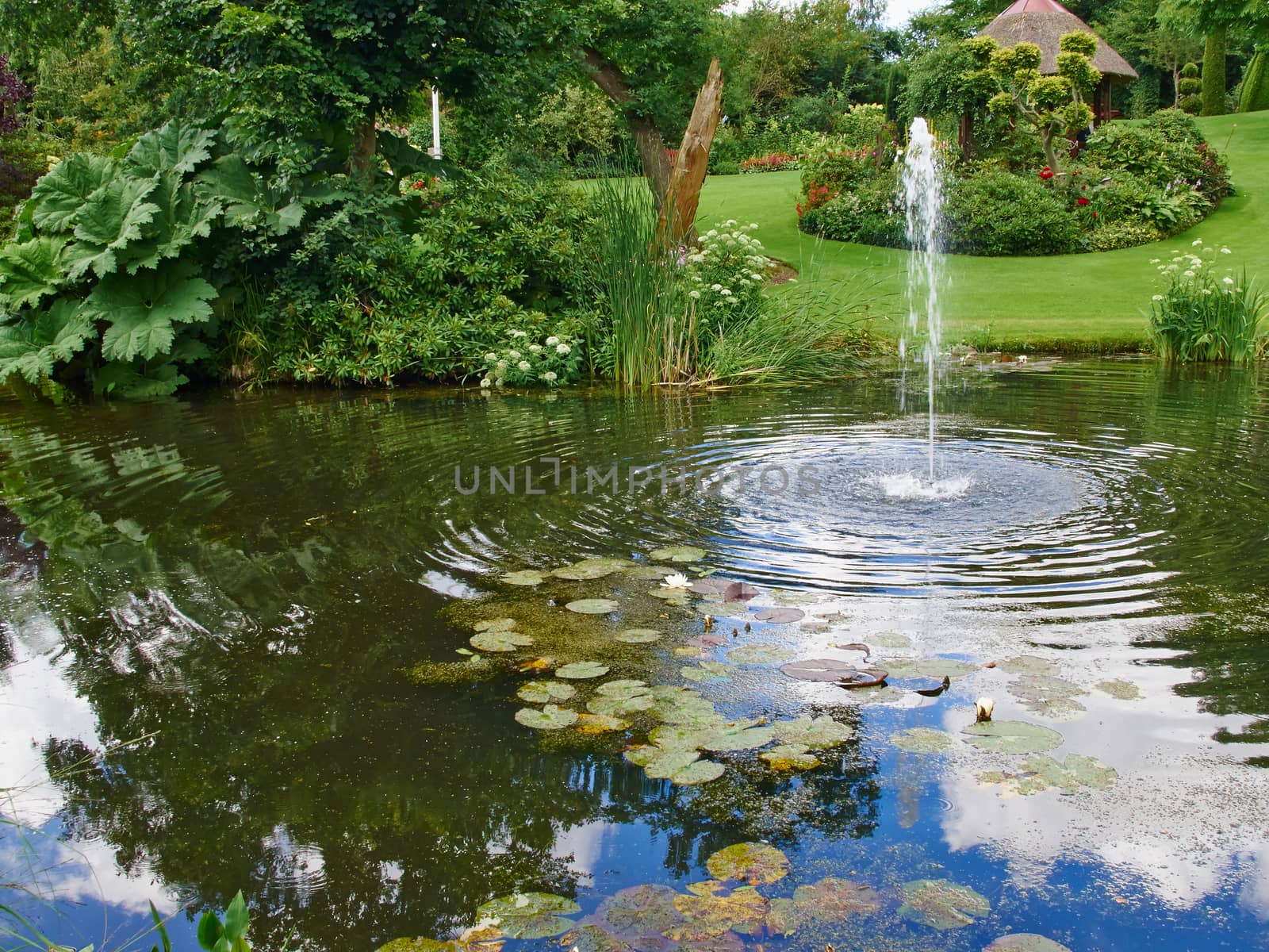 Ornamental pond and water fountain in a garden by Ronyzmbow
