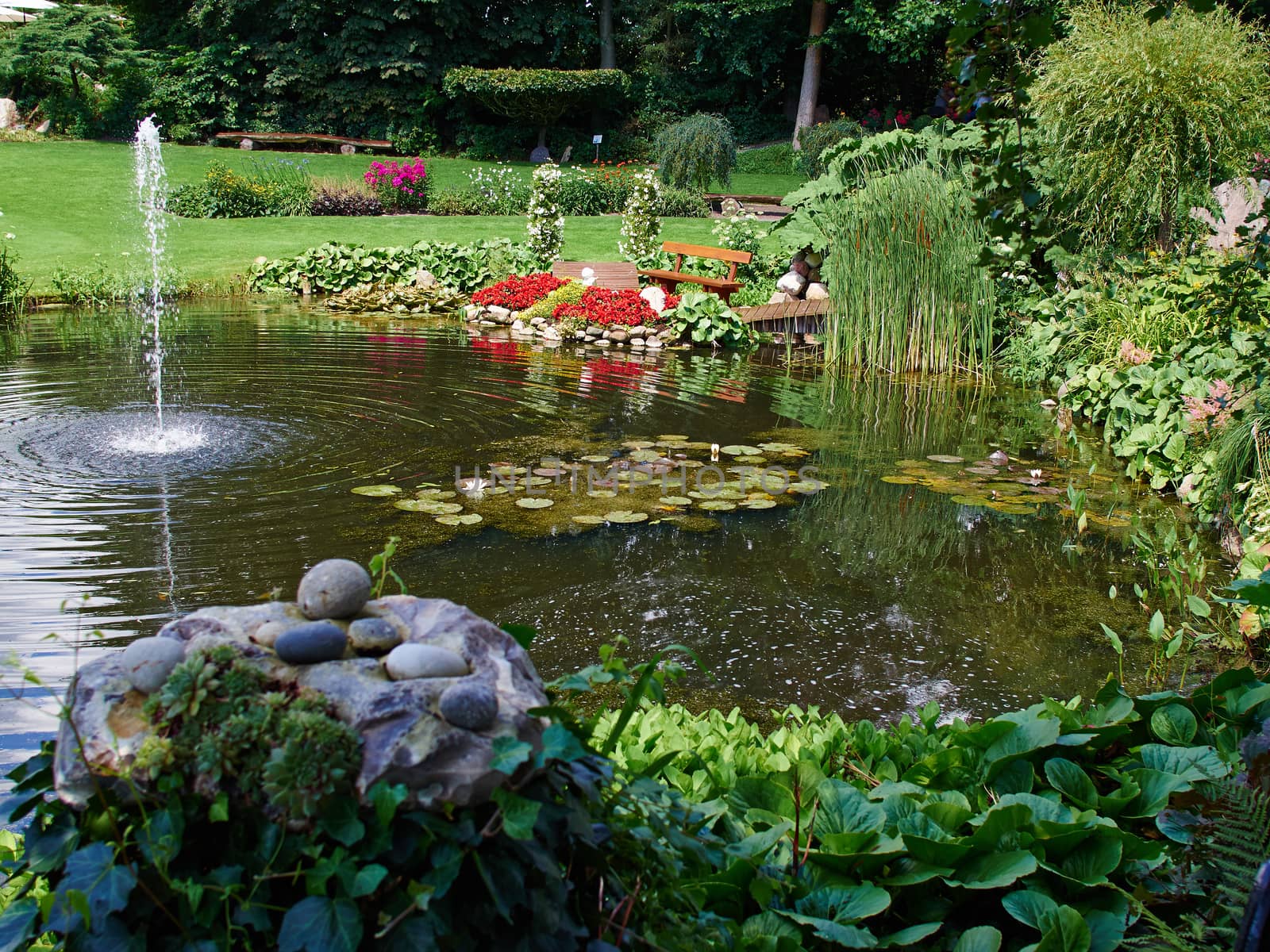 Ornamental pond and water fountain in a garden by Ronyzmbow