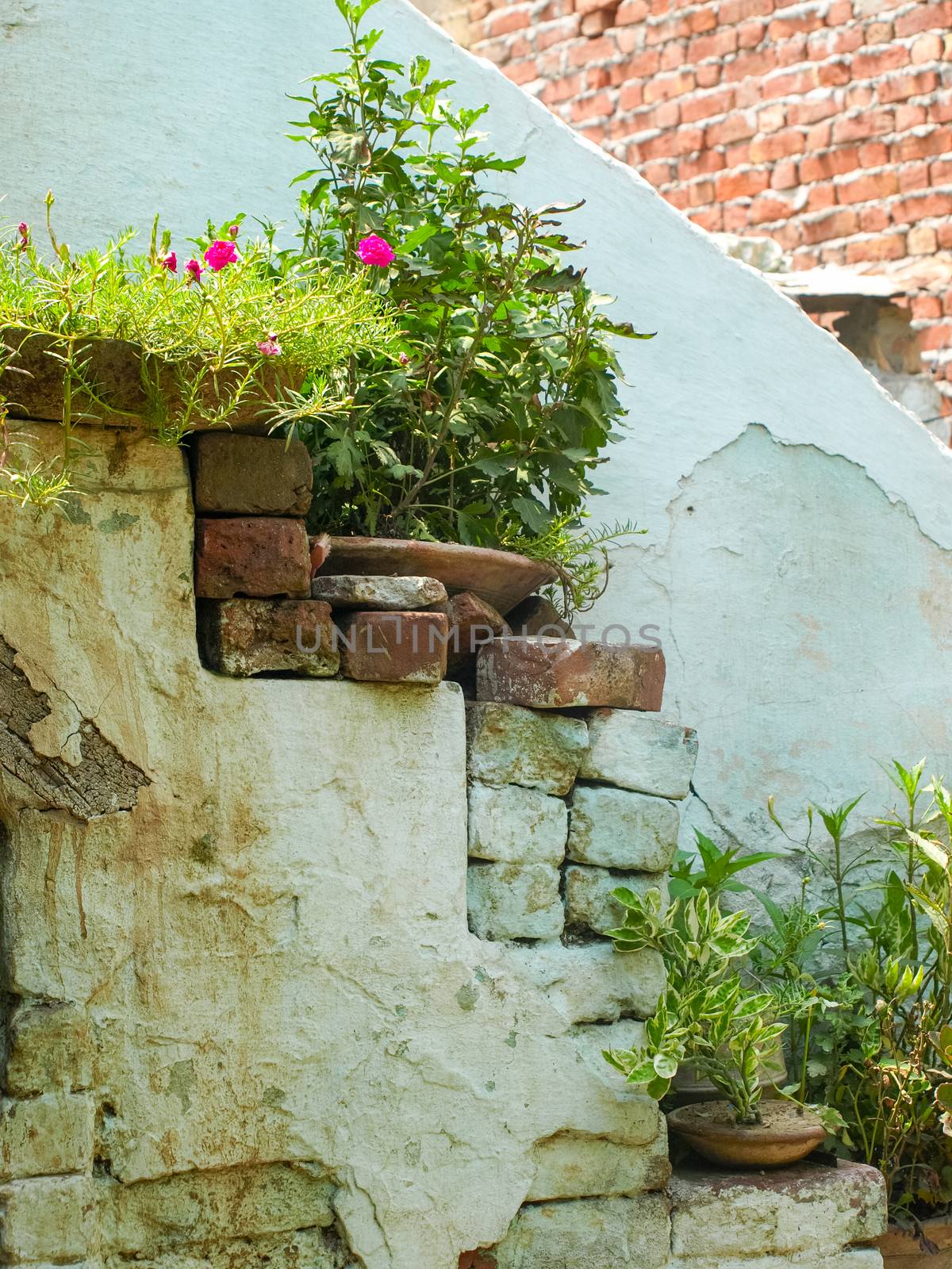 Wall with rows of baskets filled plants used for insulation modern houses and offices - India