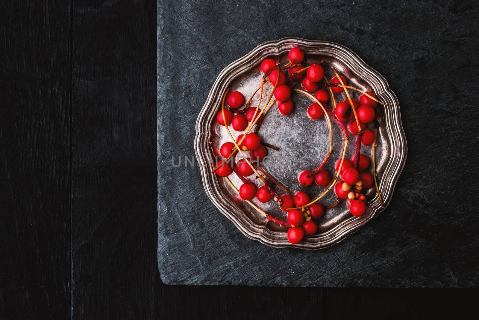 Red berries sprig in the vintage metal plate by Deniskarpenkov