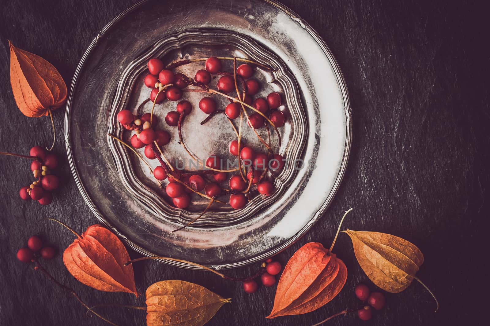 Red berries in the vintage metal plate by Deniskarpenkov