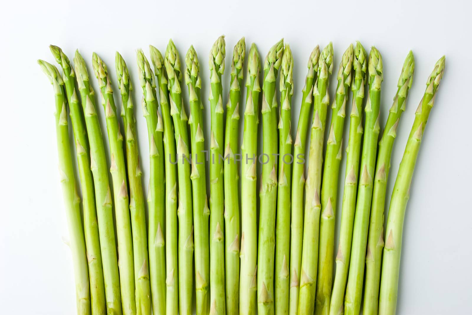Green asparagus on the white background