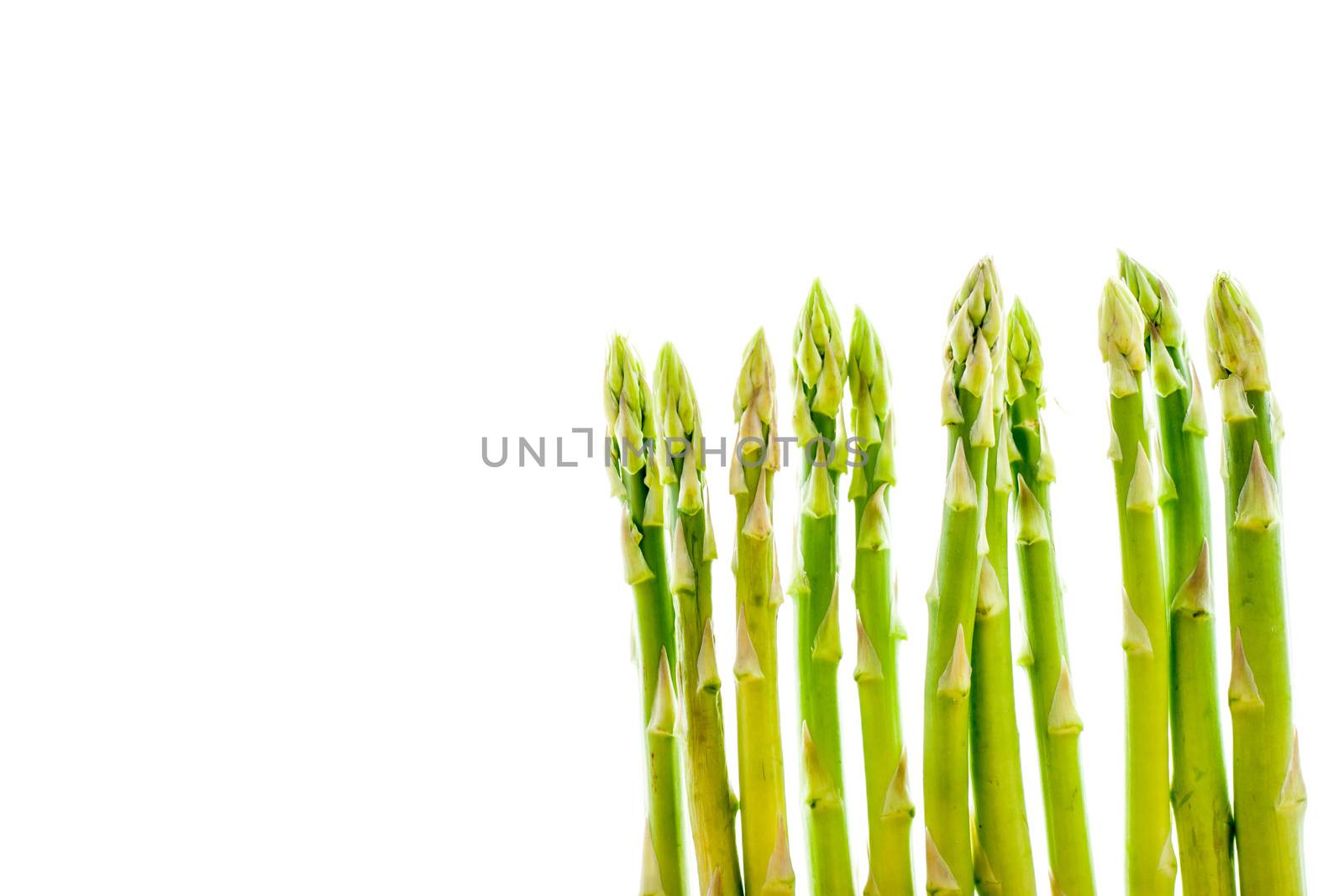 Asparagus sprouts on the white background horizontal