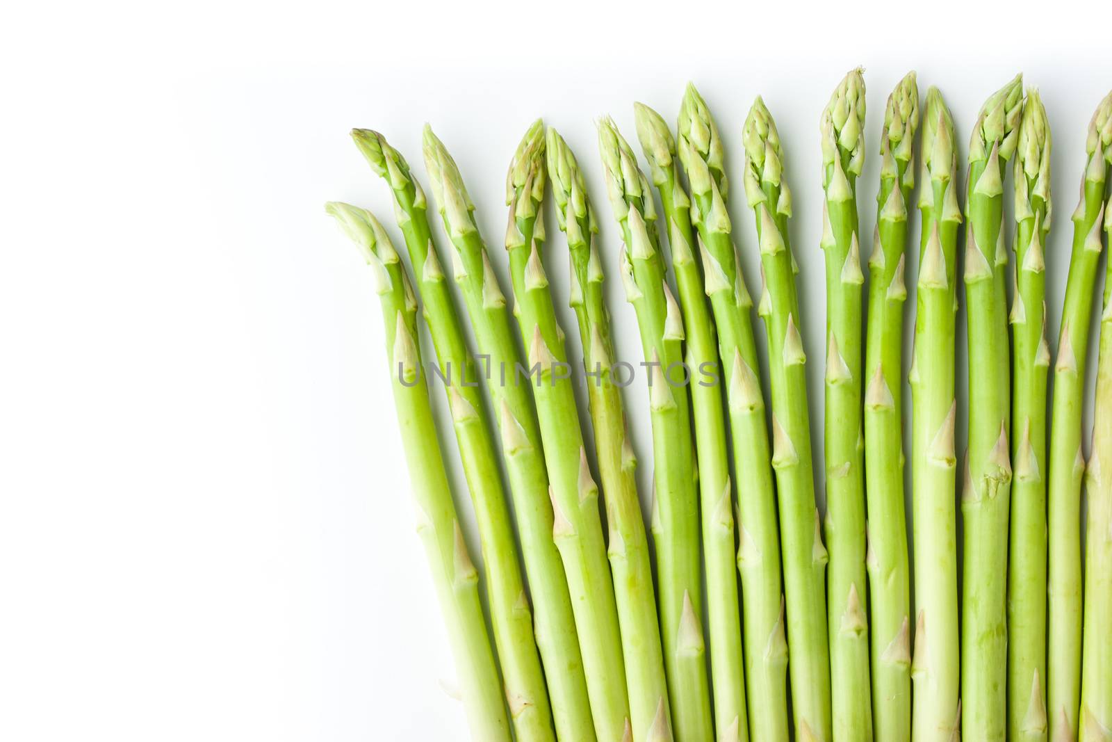 Green asparagus at the right of white background