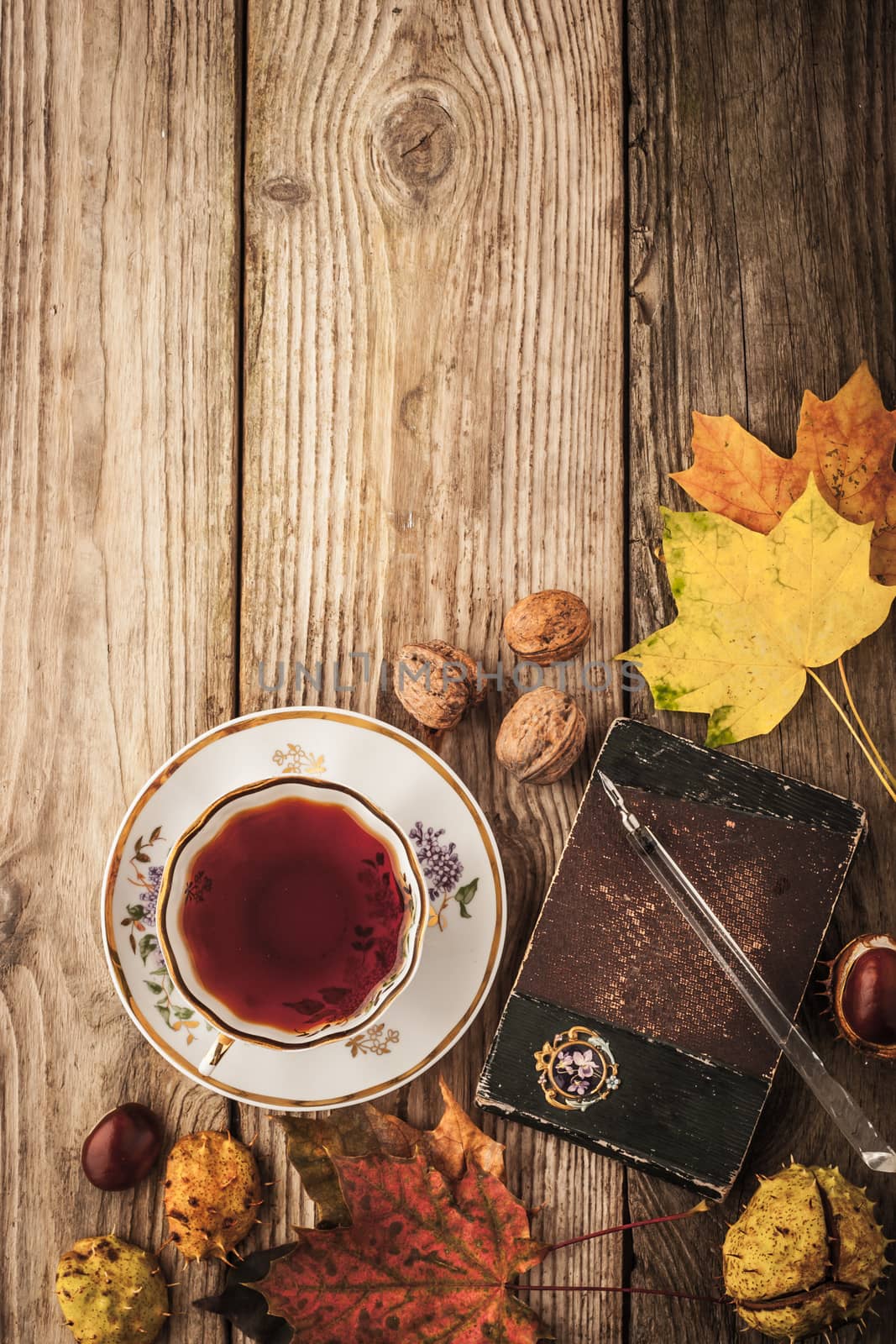 Autumnal still life with  gift of nature , vintage notebook and tea with film filter effect  background