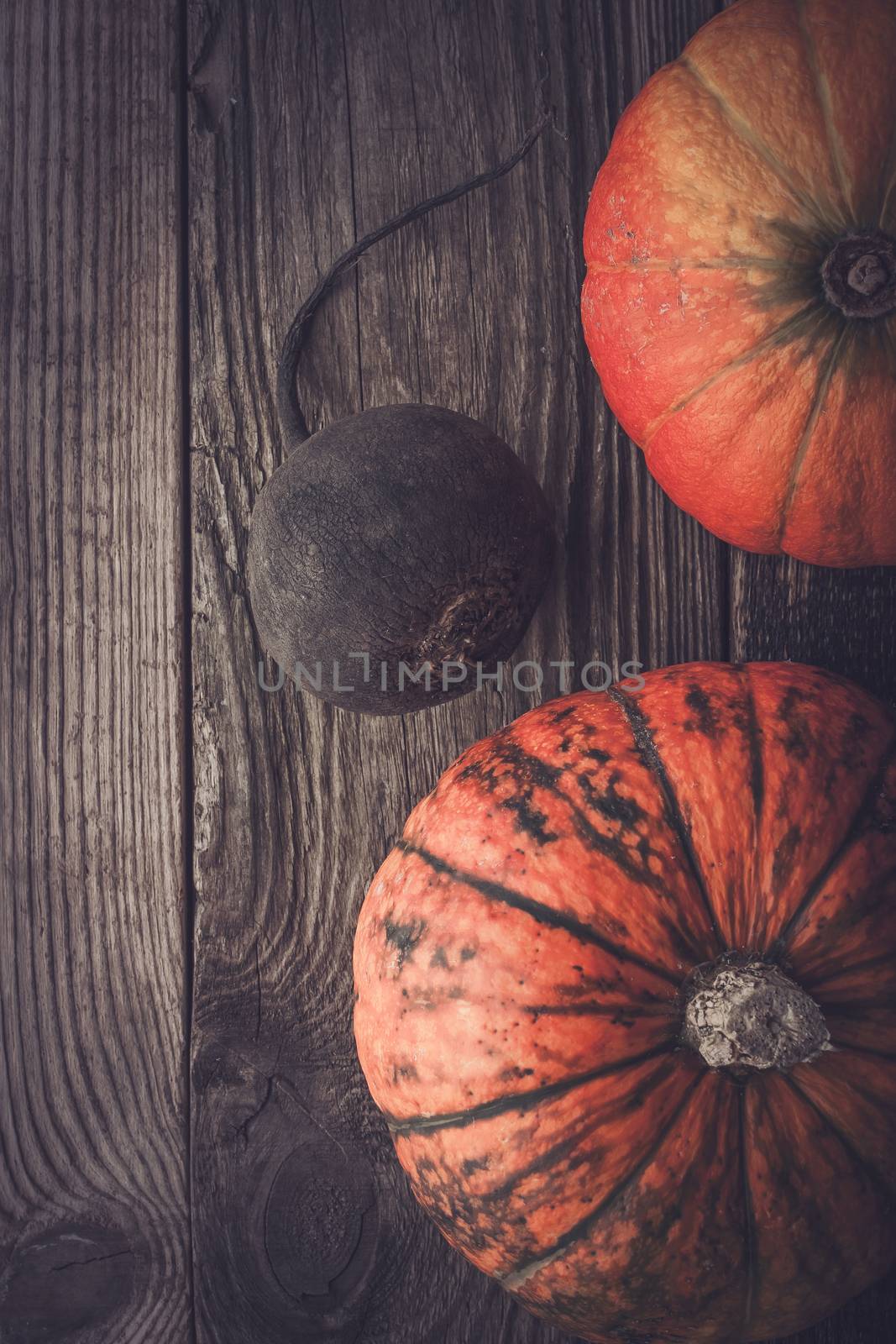 Turnip and two pumpkins on the wooden table