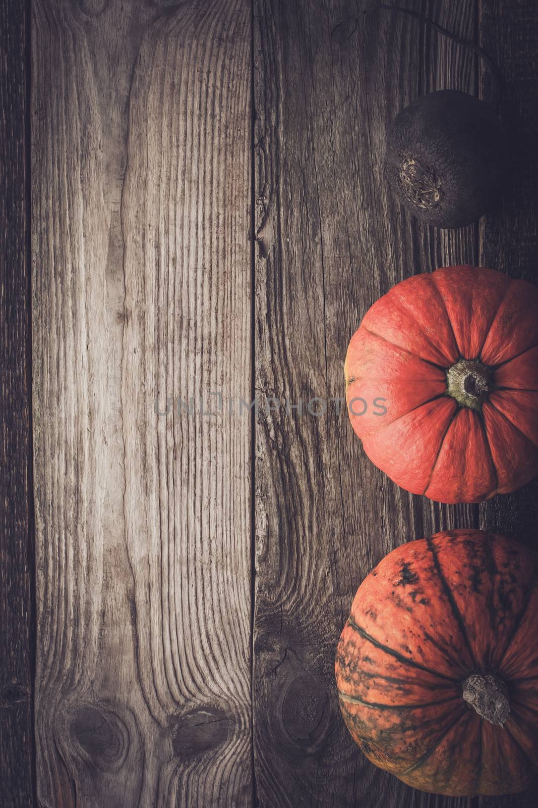 Pumpkins and turnip on the wooden table vertical