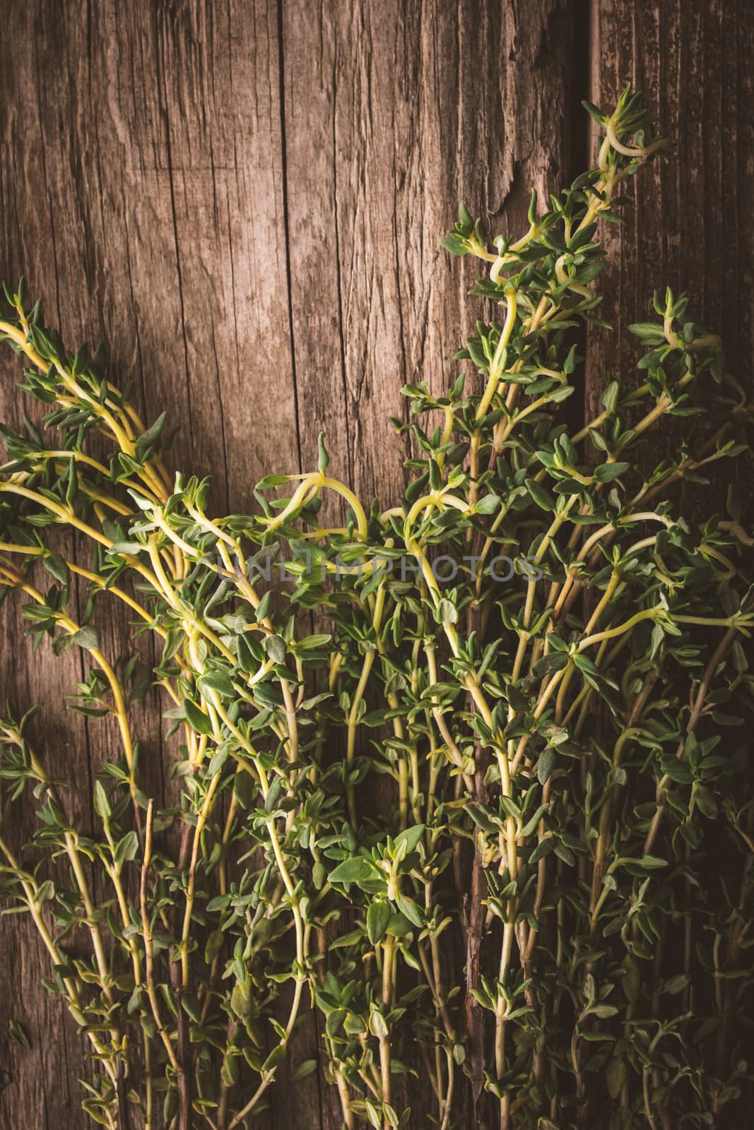 Thyme on the old wooden board vertical