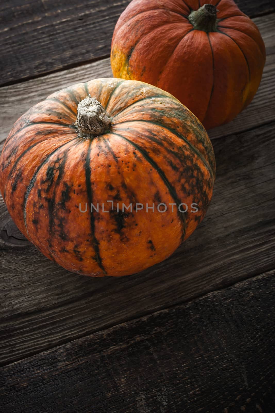 Pumpkins  with green stripe on the wooden table vertical