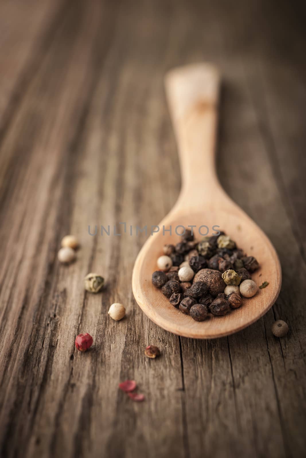 Pepper mix on the wooden spoon vertical