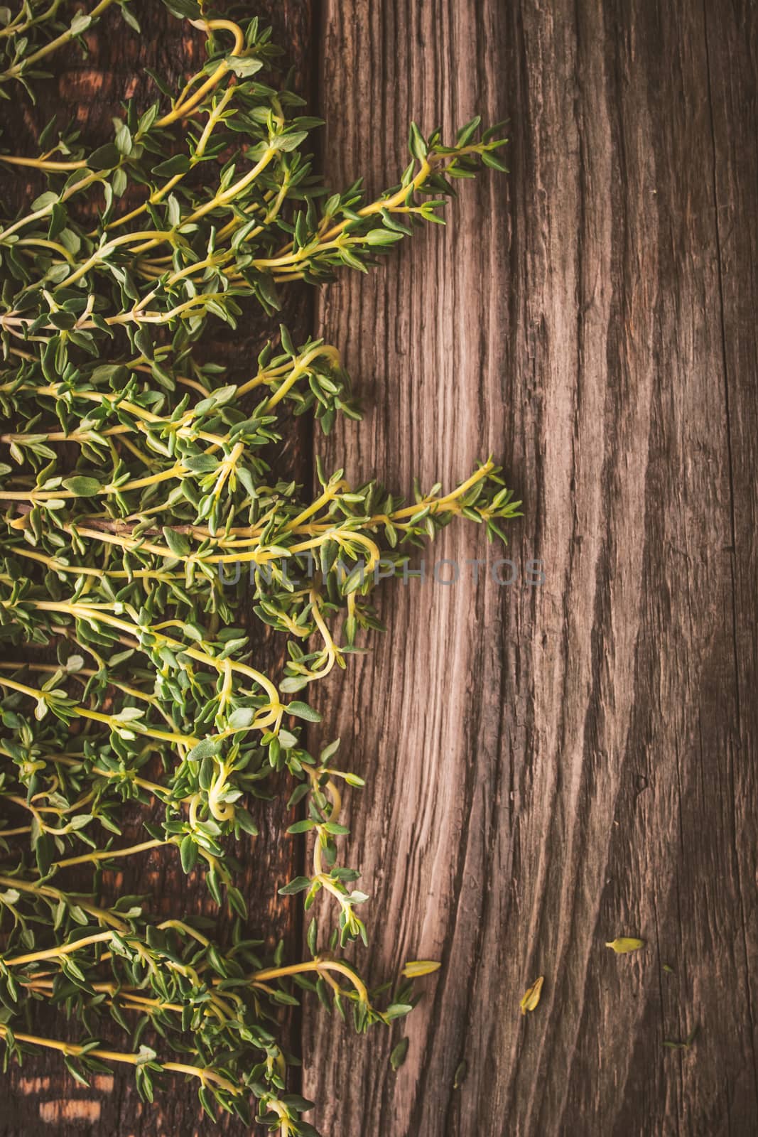Thyme at the left of the wooden background vertical
