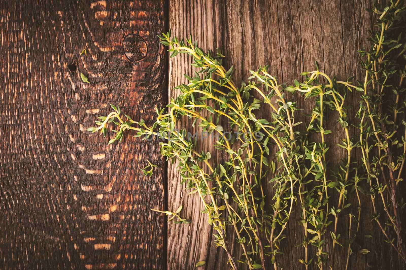 Thyme sprigs on the old wooden background