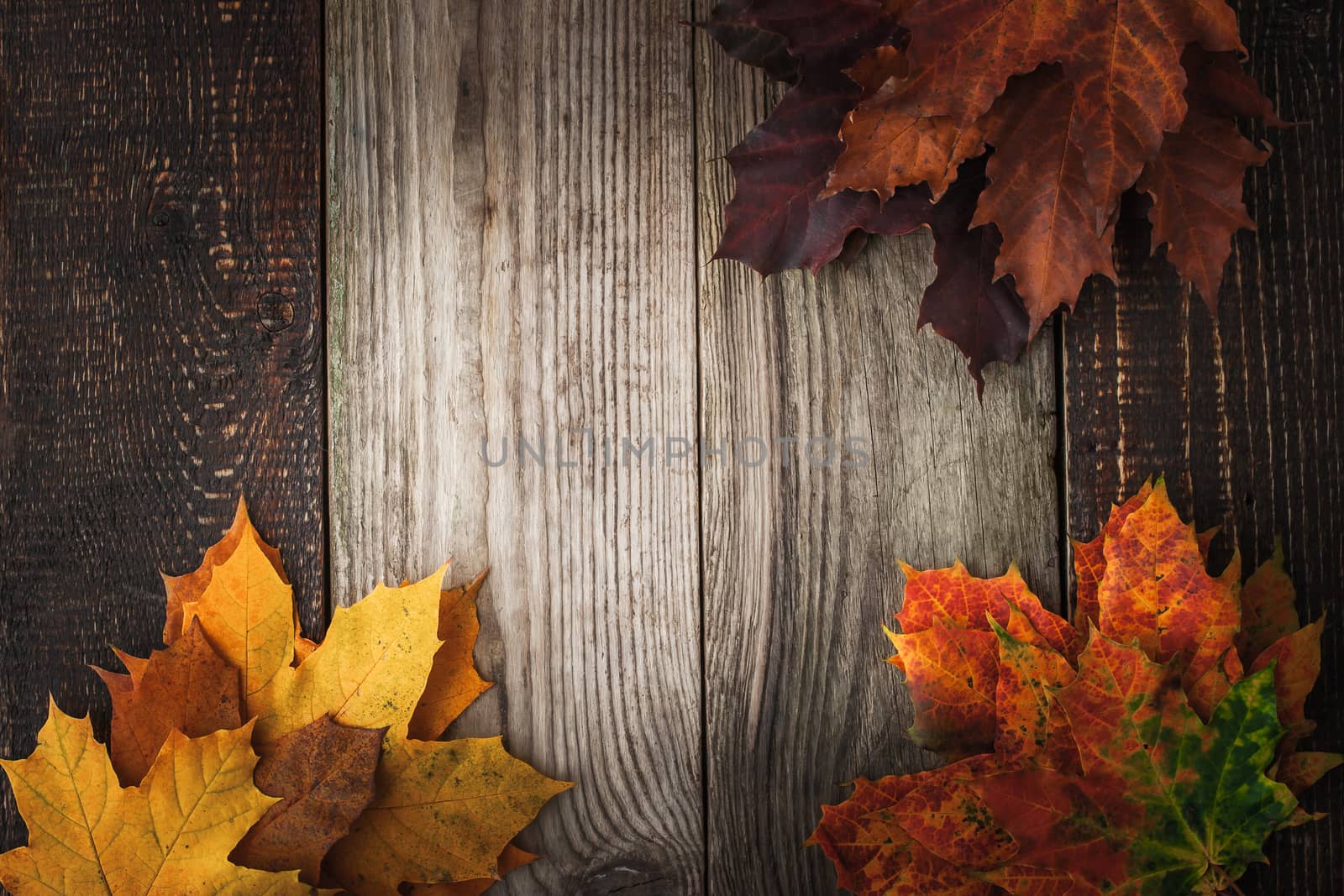 Colorful autumnal maple leaves on the wooden table horizontal