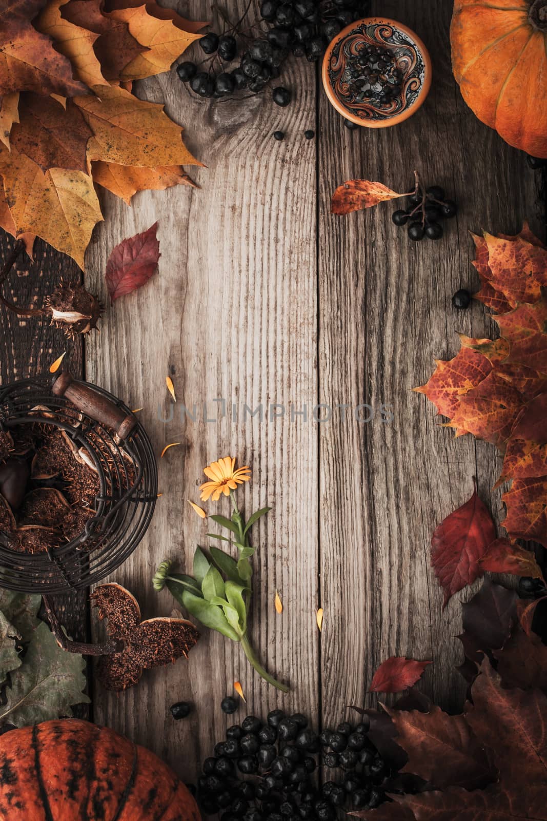 Frame of autumn gifts by Deniskarpenkov