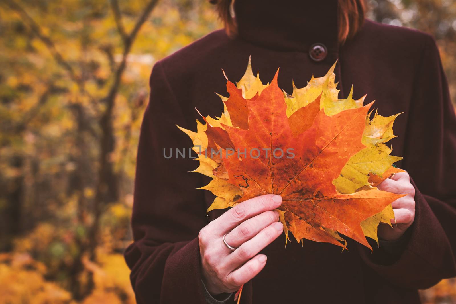 Woman with bouquet of autumn leaves in the hand