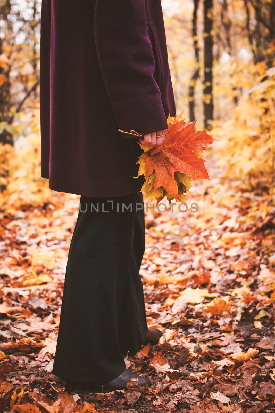 Woman with fallen leaves  vertical