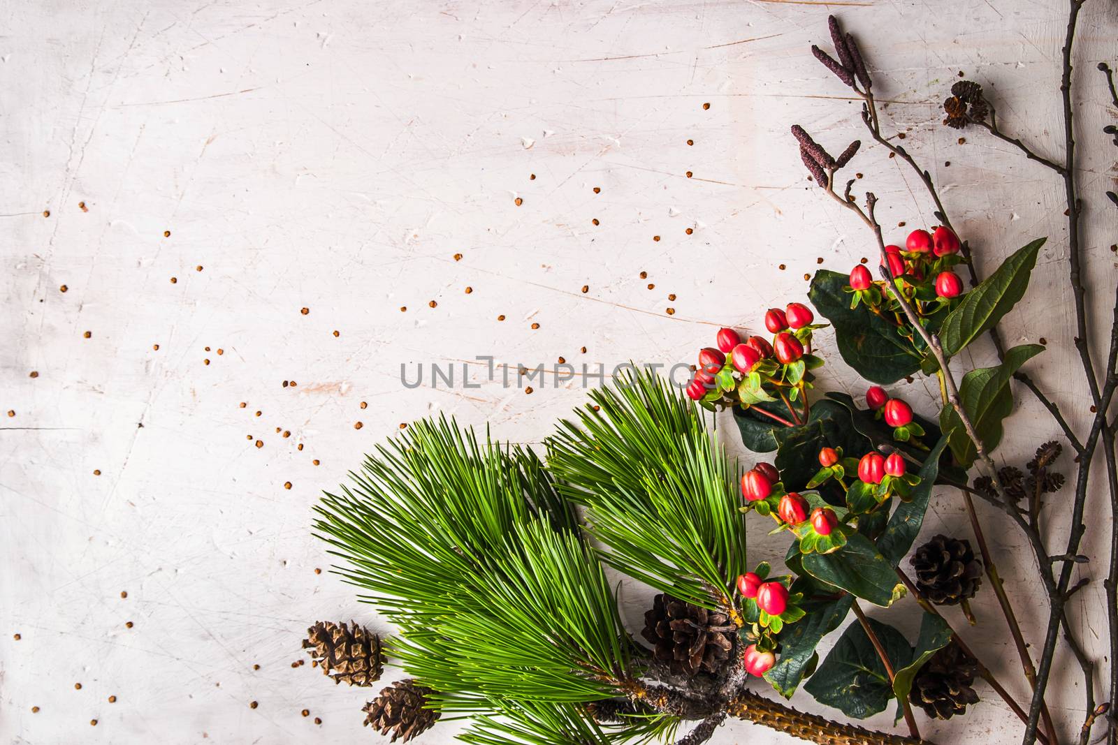 Pine branch and winter plants on the white table background horizontal