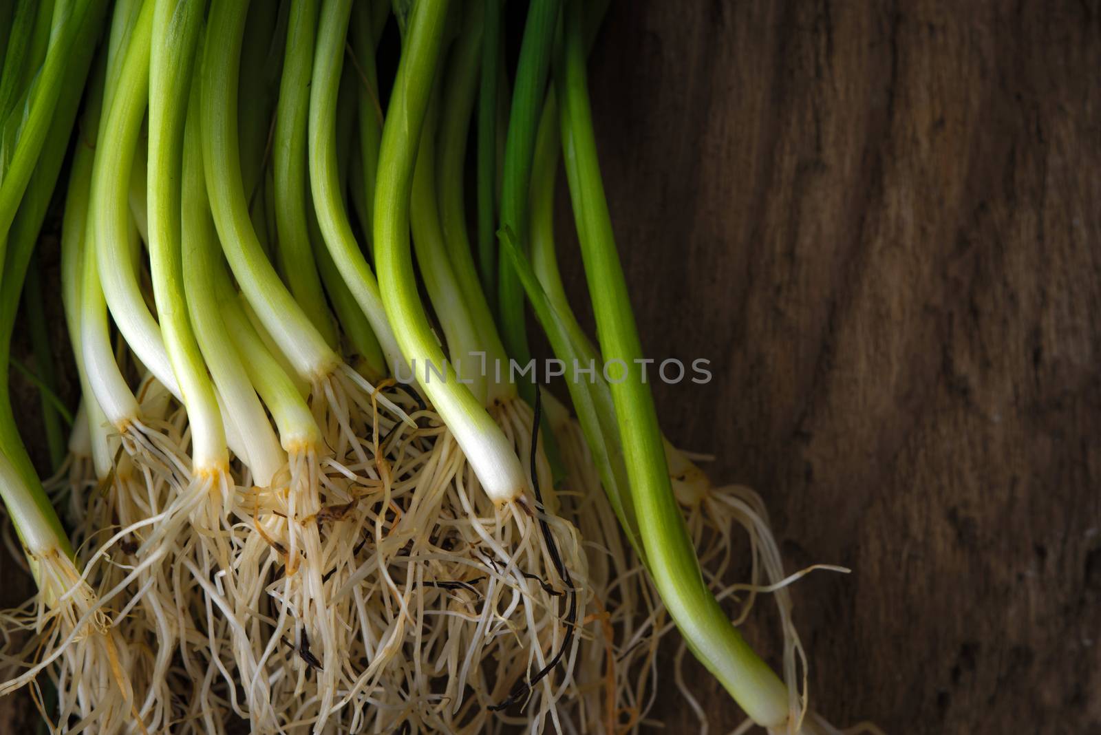 Green onion stalks and roots on a wooden table horizontal