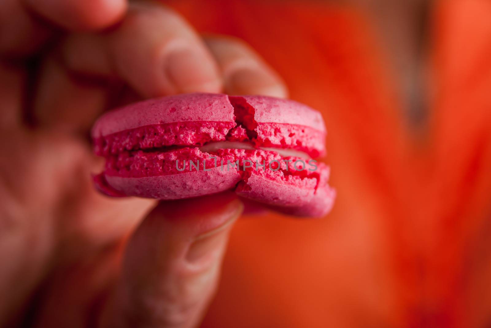 Woman holds a macaroon with a crack in his hand horizontal
