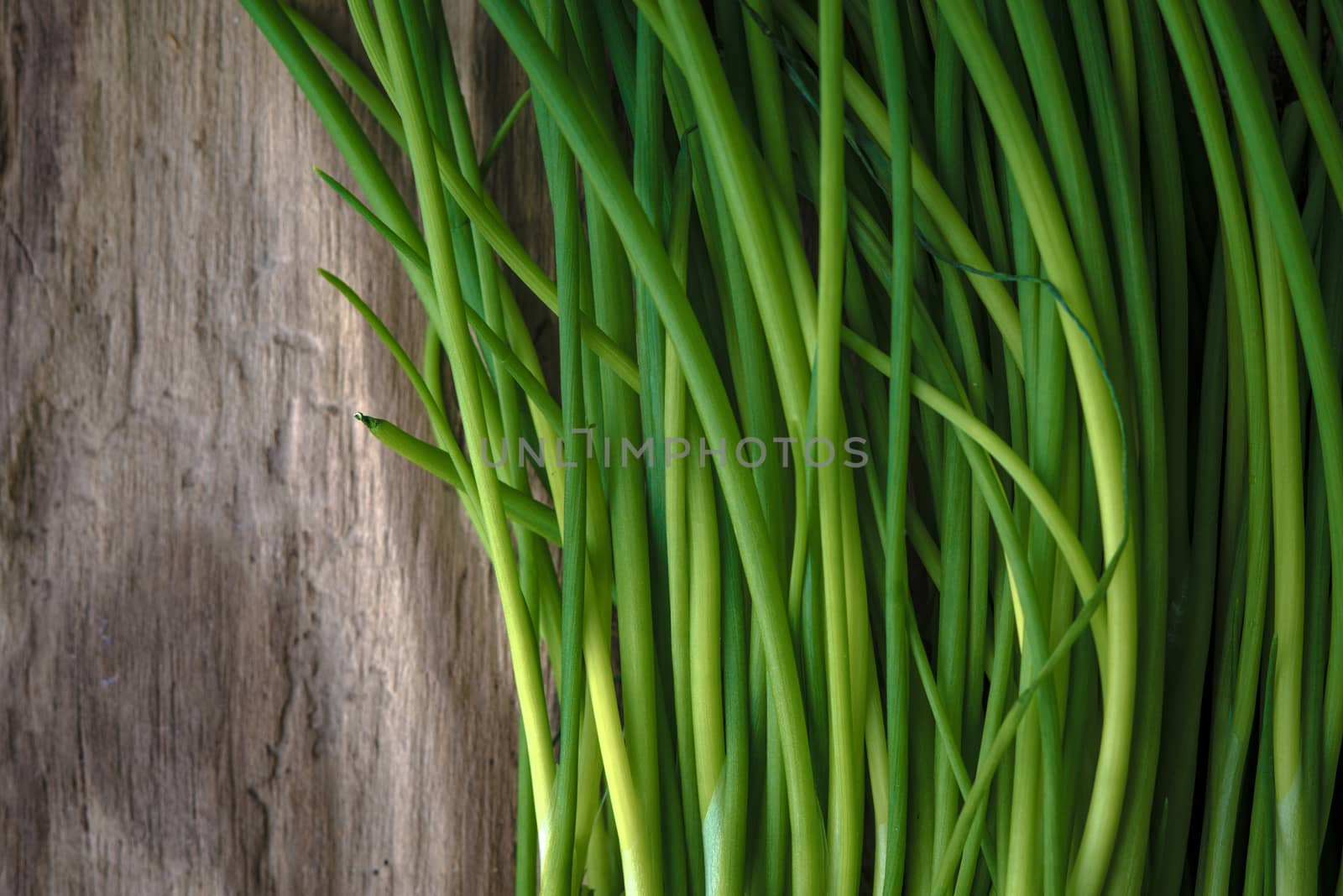 Green stalks of onions on a wooden table horizontal