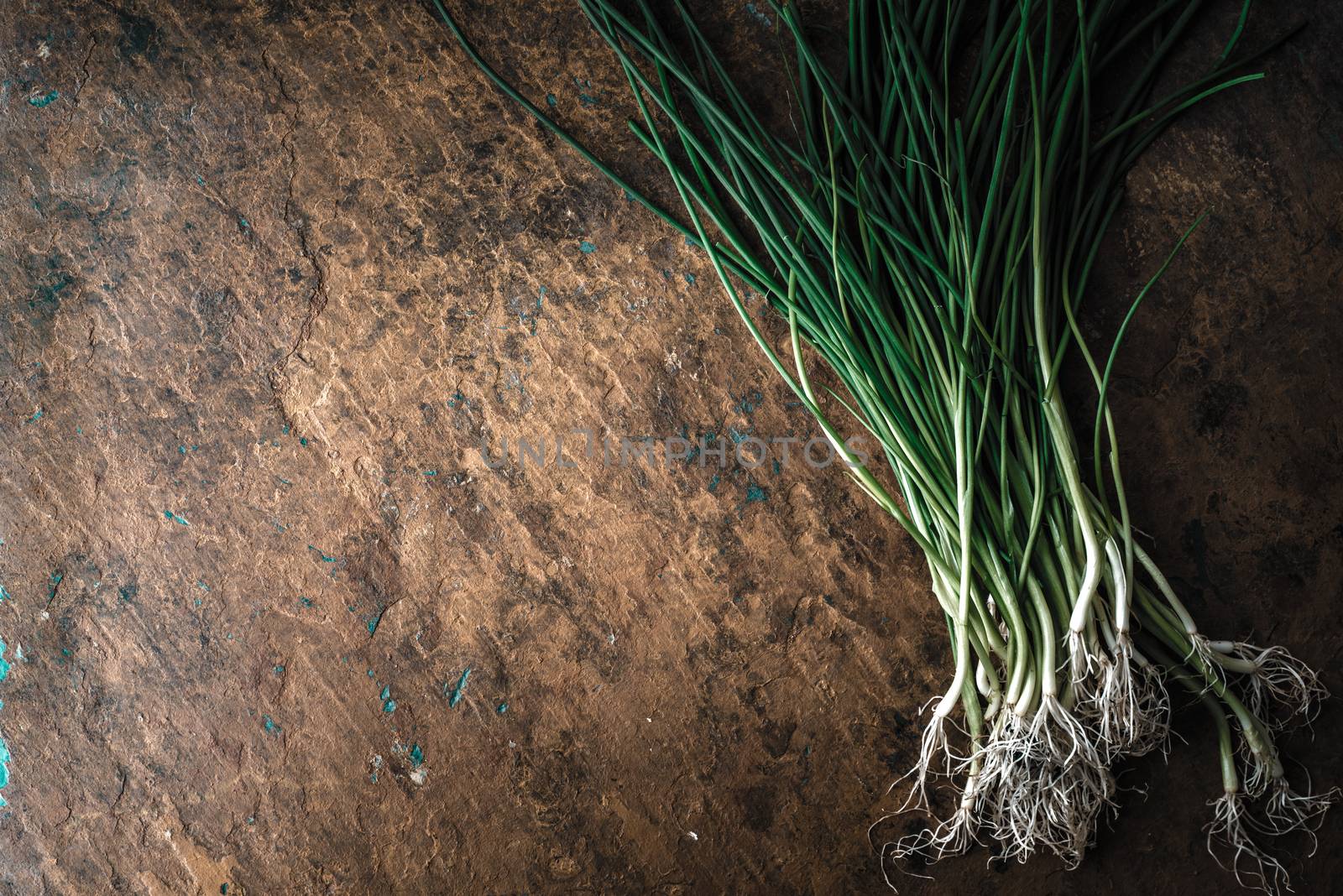Green onion stalks and roots on the stone table horizontal