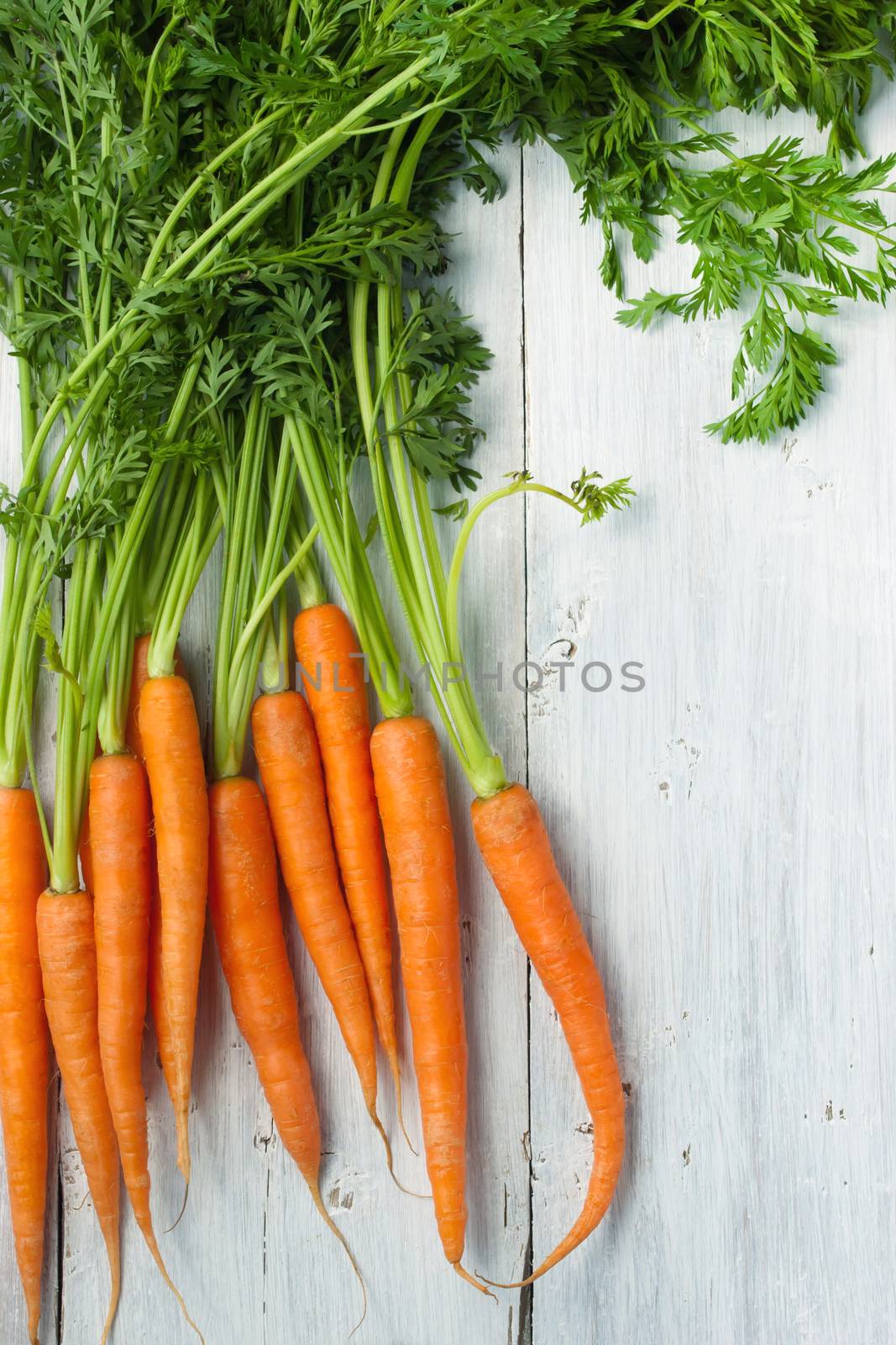 Carrots on the white wooden table vertical