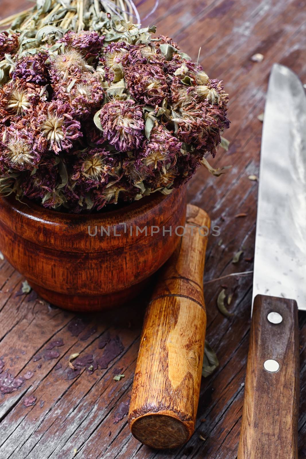 Dried medicinal plant and wooden mortar with pestle