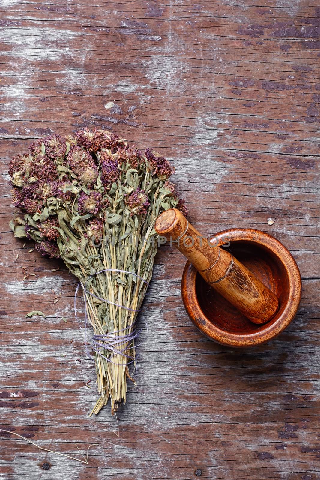 Dried medicinal plant and wooden mortar with pestle