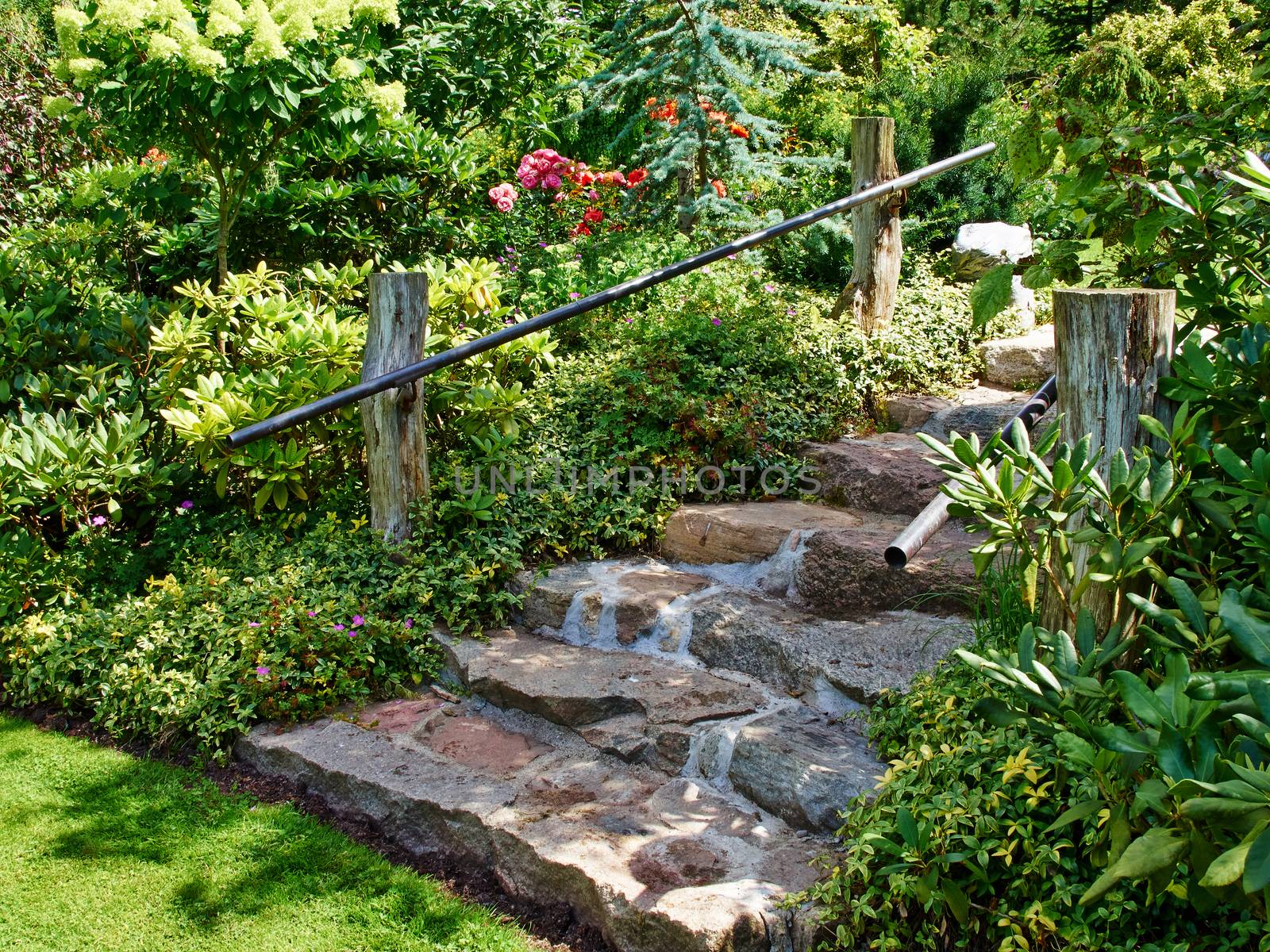 Natural stone stairs landscaping in beautiful lush green blooming home garden