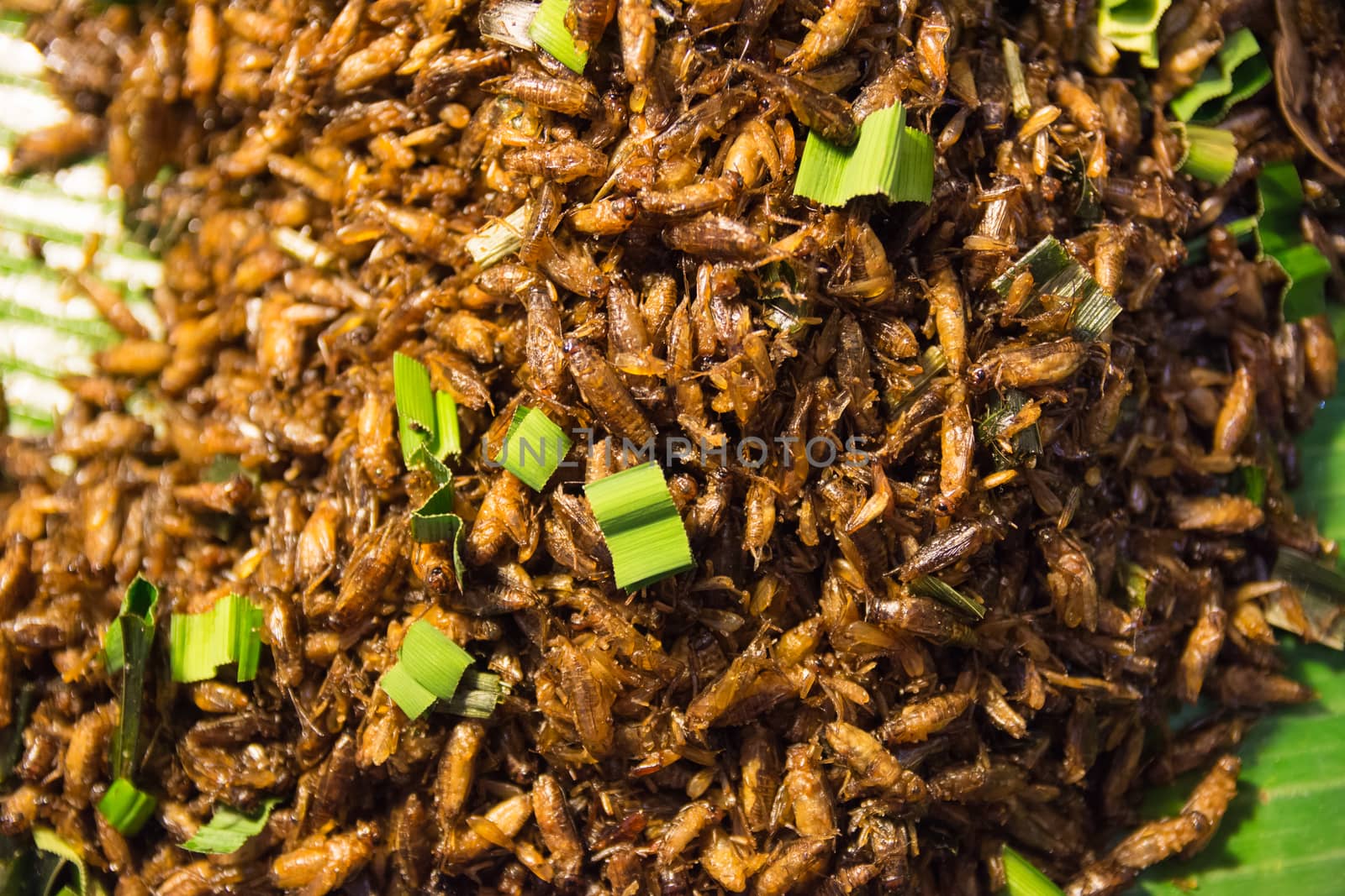 Fried insect food in thailand