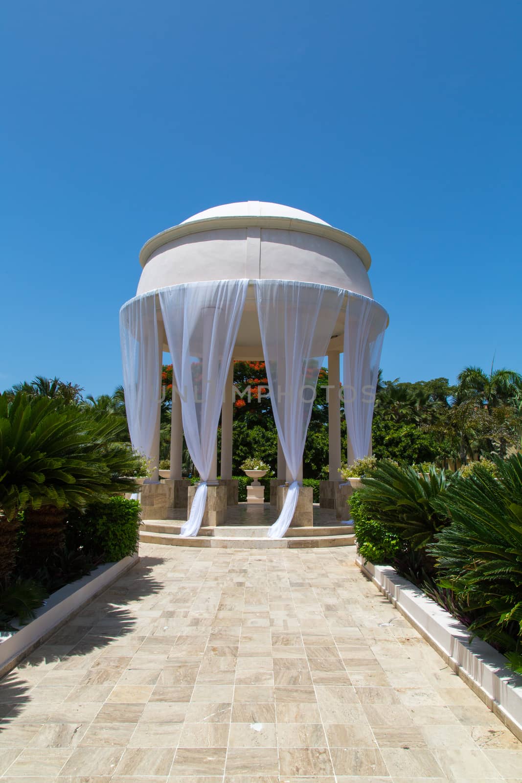 Beautiful wedding location with blue sky and palms