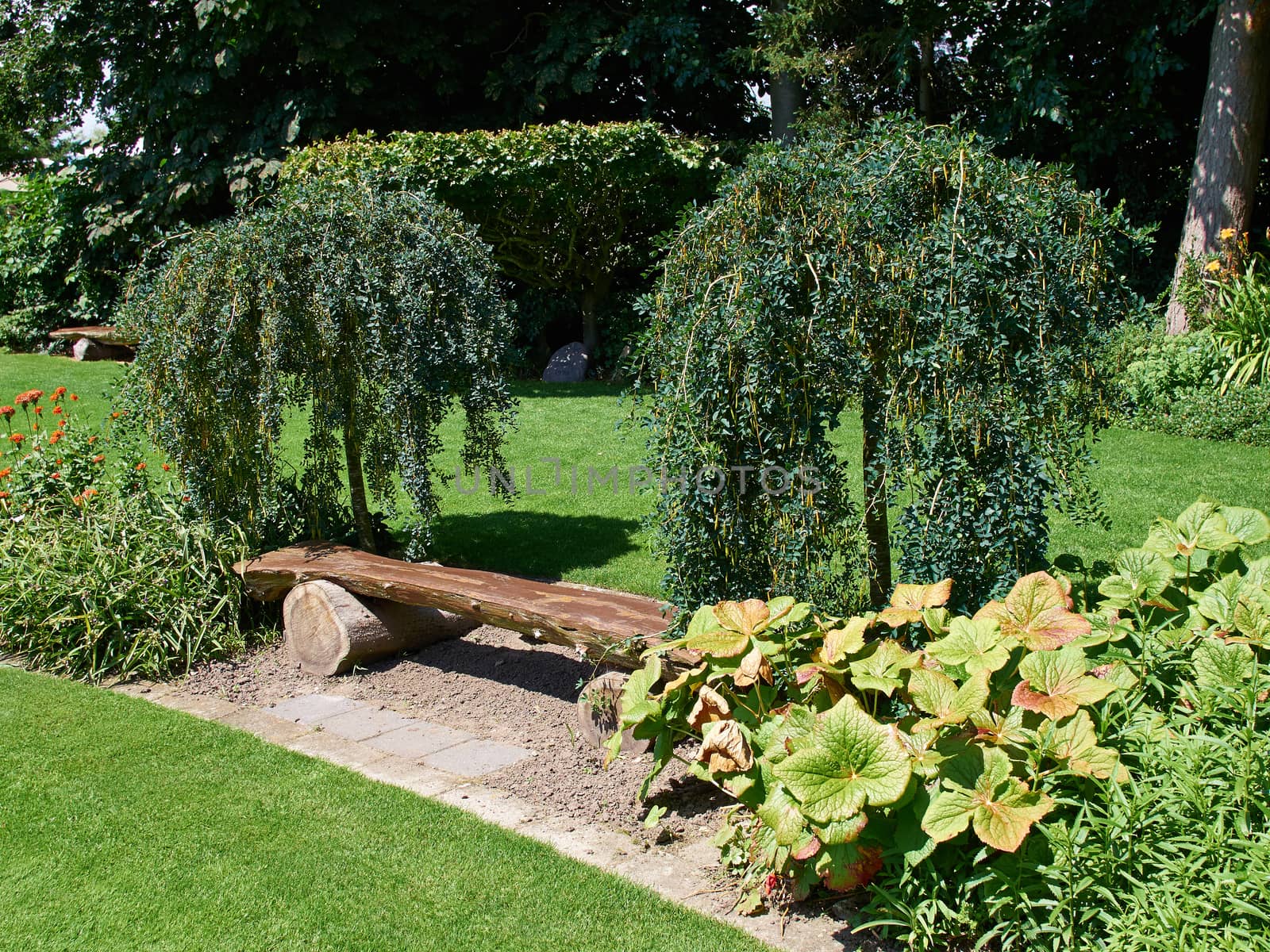 Beautiful creative wooden bench in a lush green blooming garden