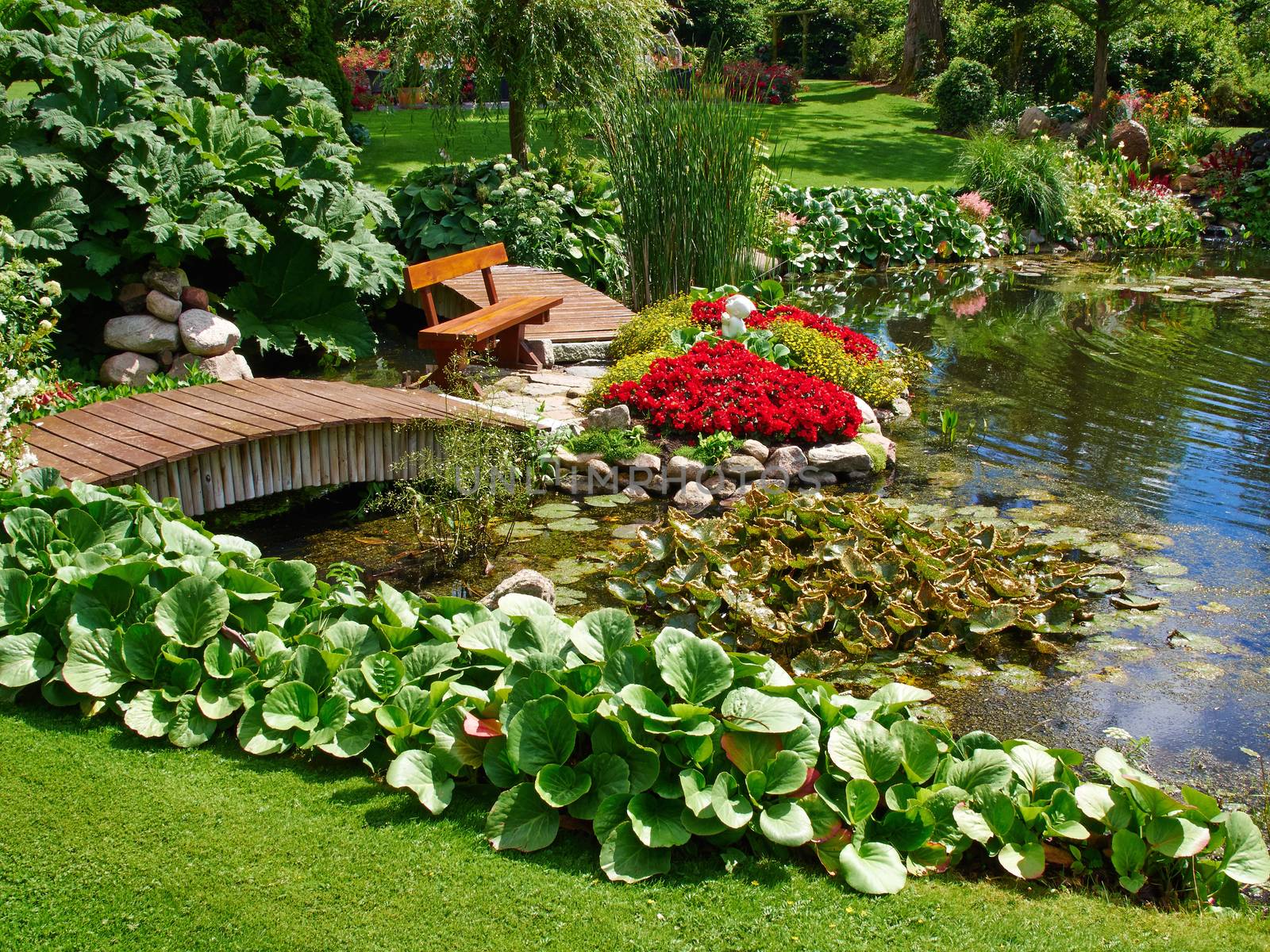 Beautiful classical design landscaped lush green blooming garden fish pond with water lily
