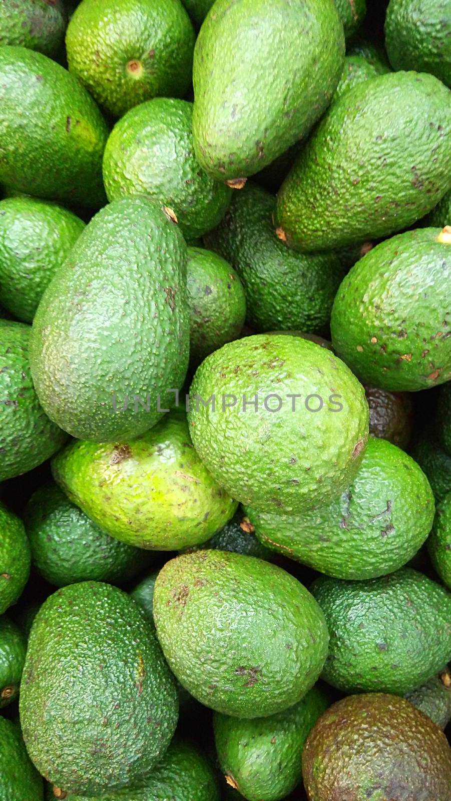 Avocado background. Fresh green avocado on a market