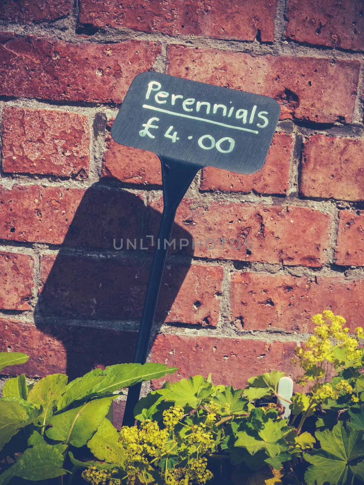 Sign For A Perennials Plant Sale At A UK Farmers' Market