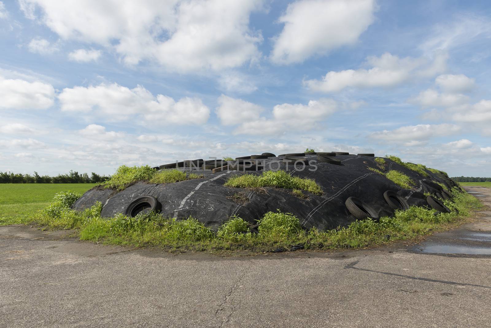 Ensilage on a dairy farm
 by Tofotografie