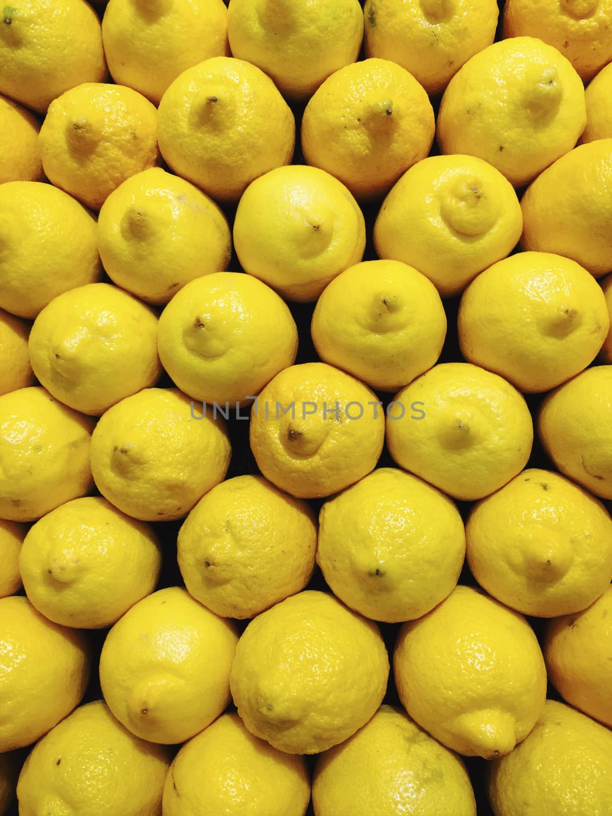 Yellow lemons in rows, displayed inside shop.