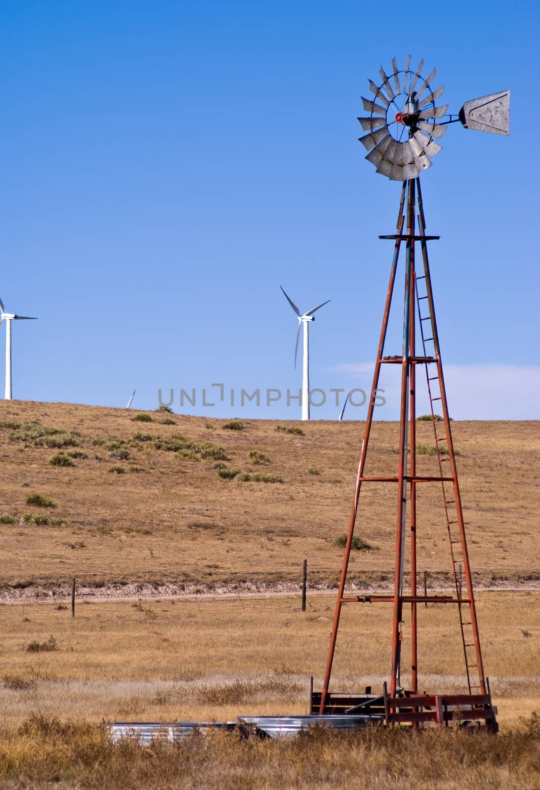 Windmill pumping water for livestock