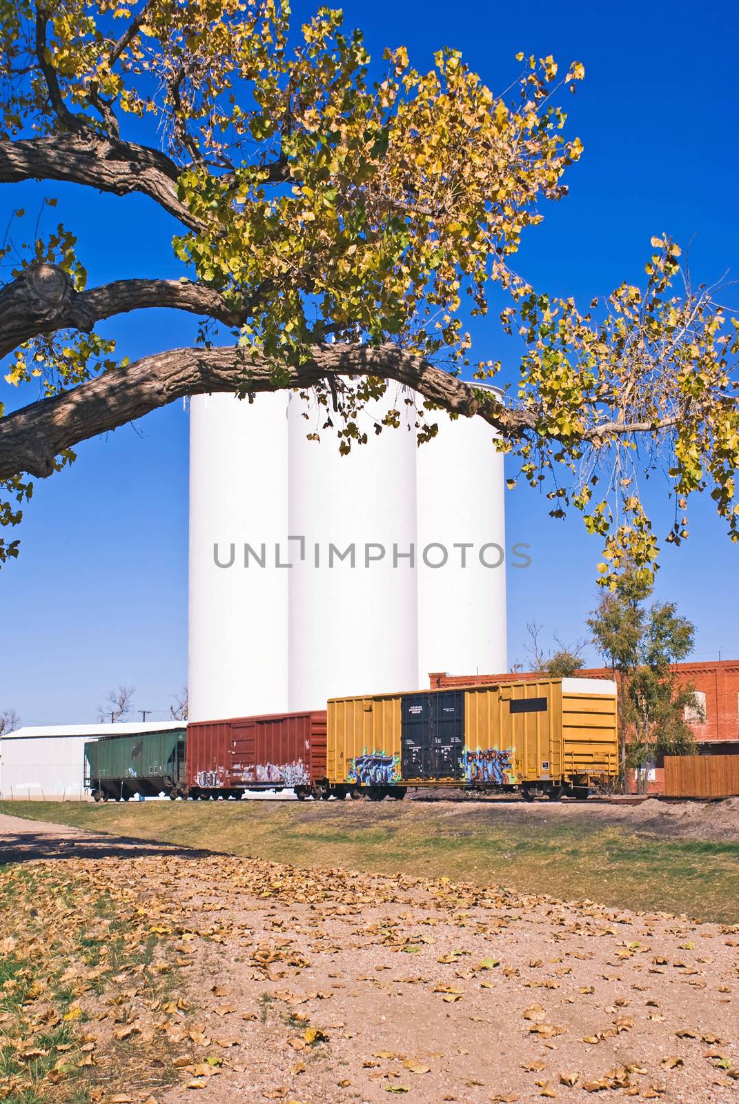 Railcars parked near grain silos in central Colorado, USA.