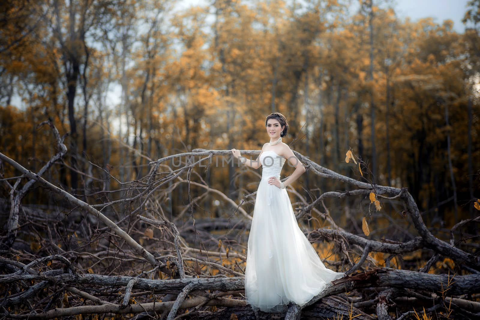 Beautiful girl in the dress of the bride walks in autumn park wi by chanwity