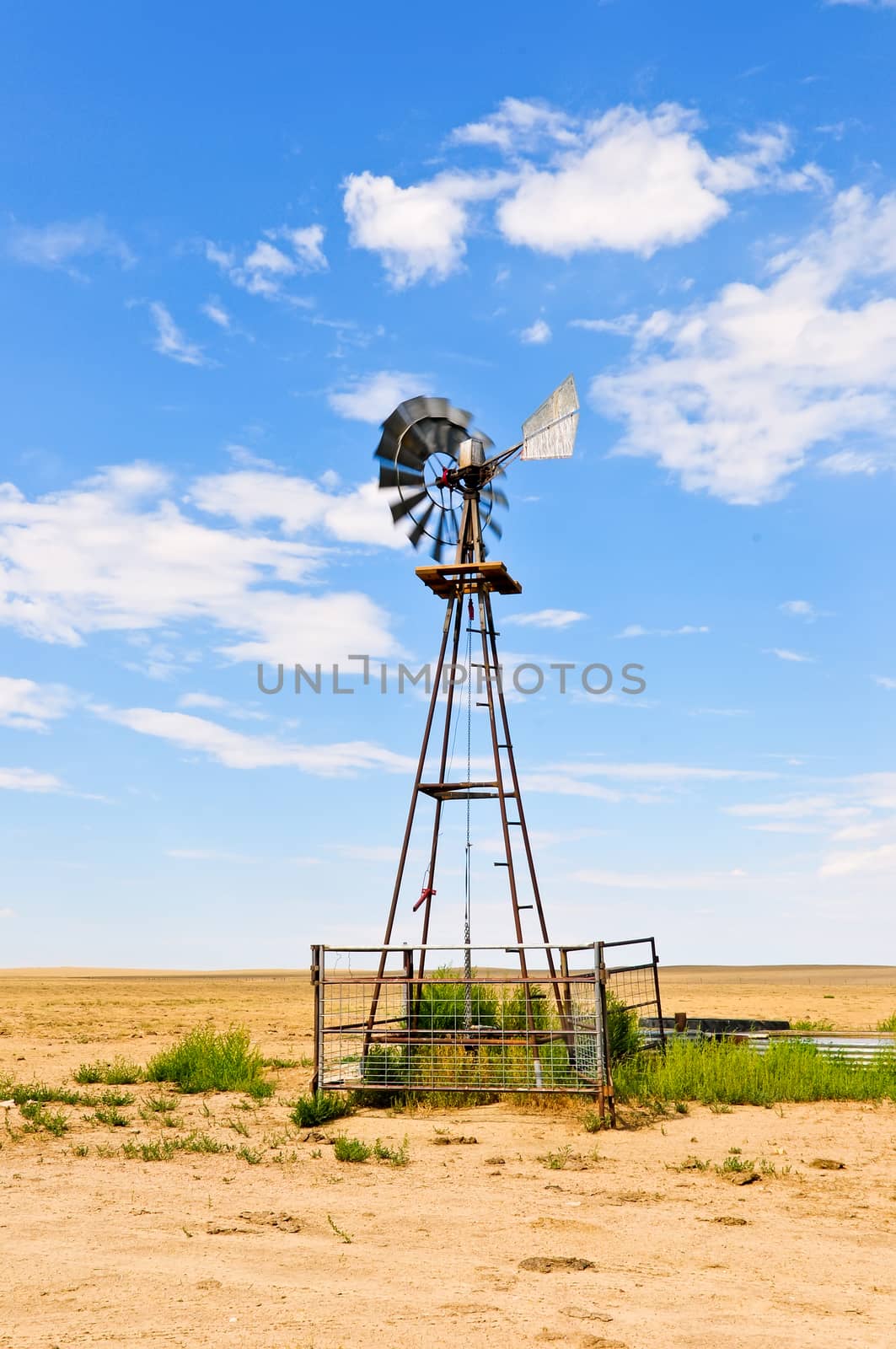 Windmill water pump to supply livestock with drinking water.