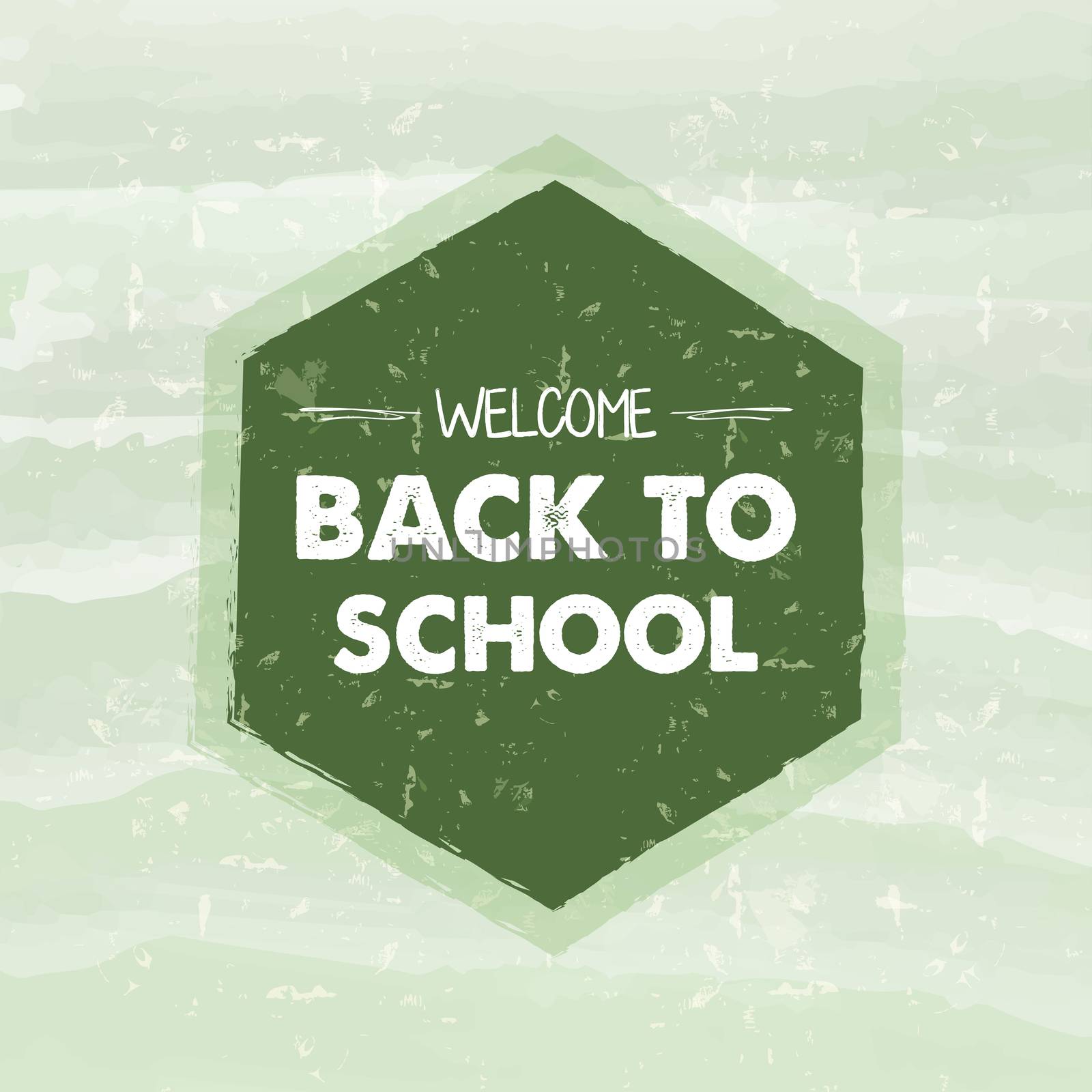 welcome back to school text in hexagon frame over green old paper background, education concept
