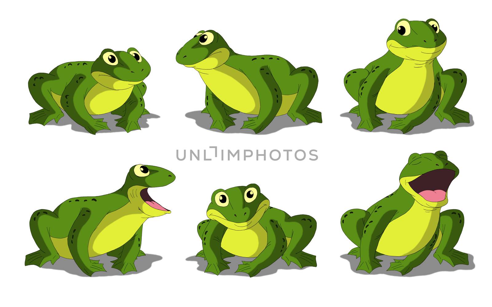 Light Green Frog Isolated on White Background by Multipedia