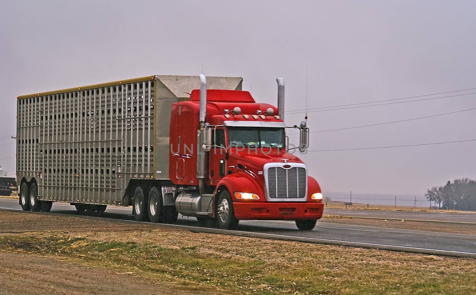 Semi truck and a bull rack rolling down a rural highway in central Colorado, USA.