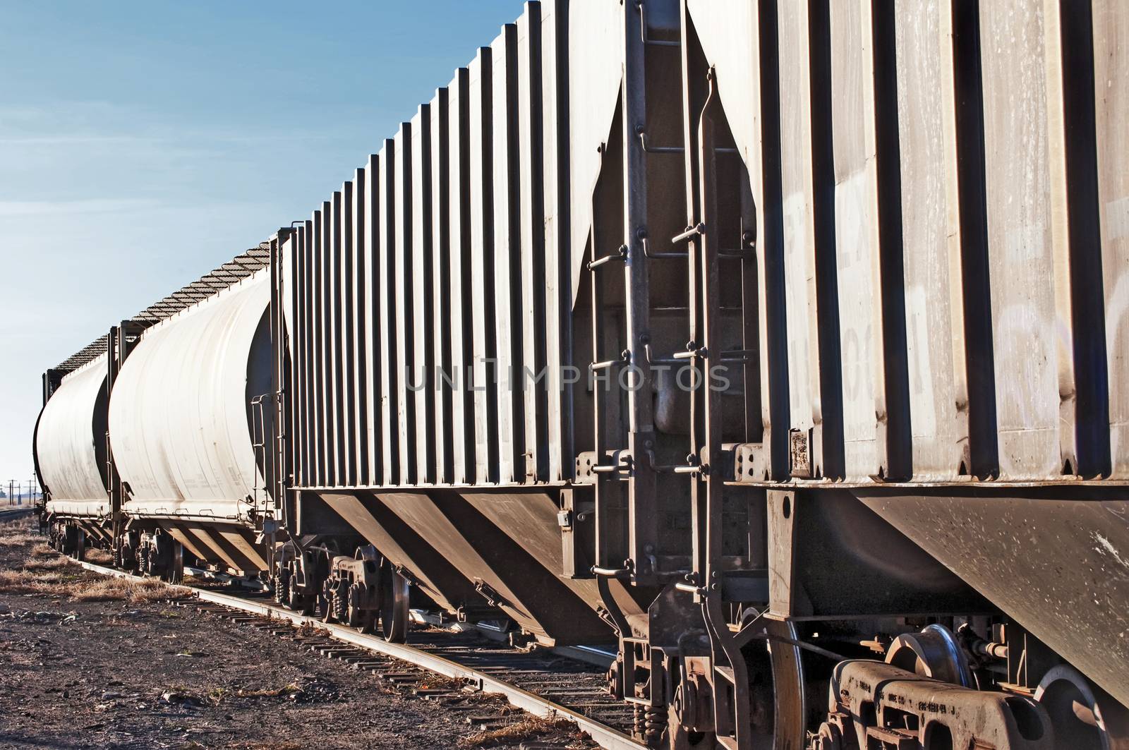 Empty railcars waiting on a siding to be loaded with grain from the local silo.