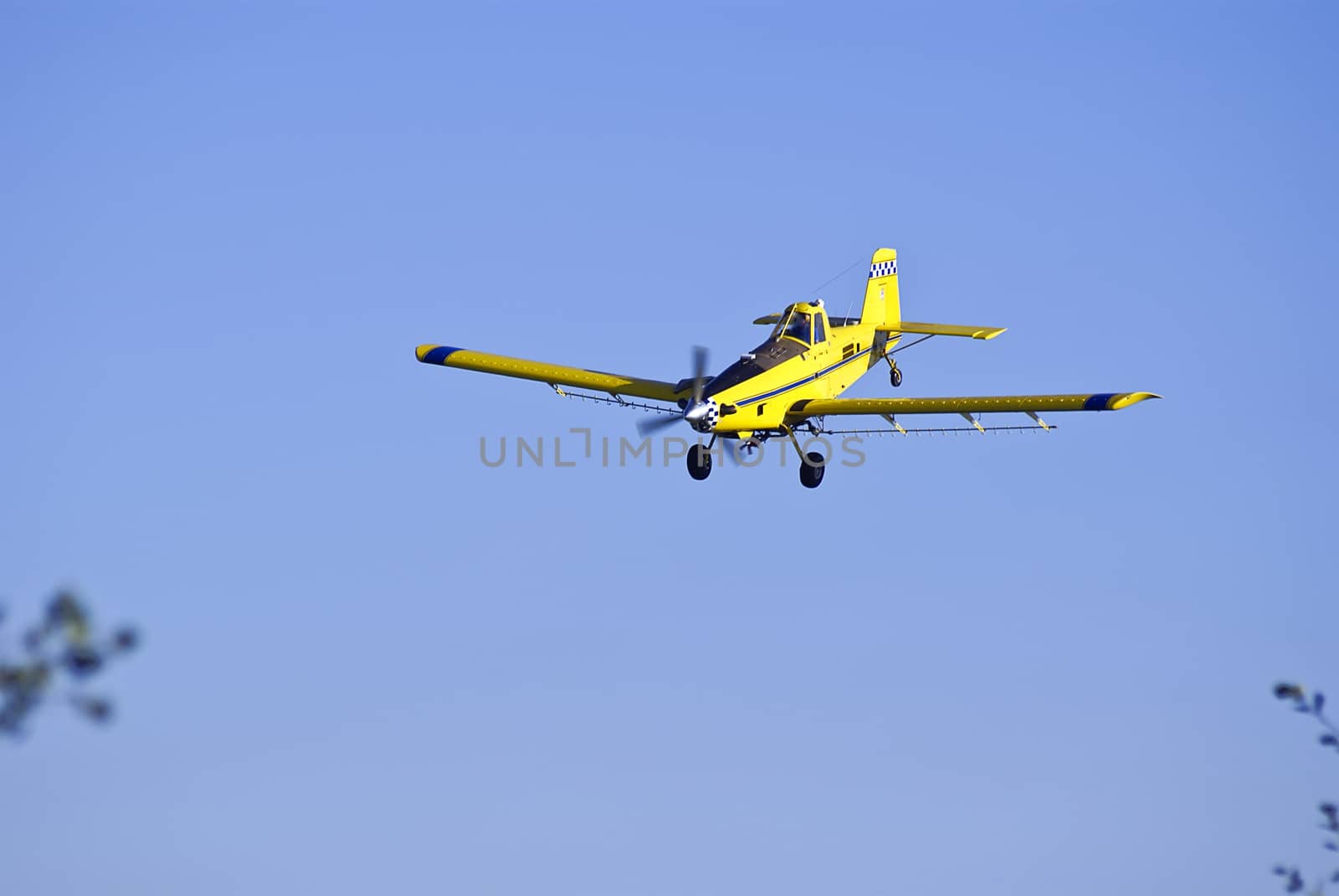 Crop-duster coming in for another pass at a cornfield while spraying the crop.