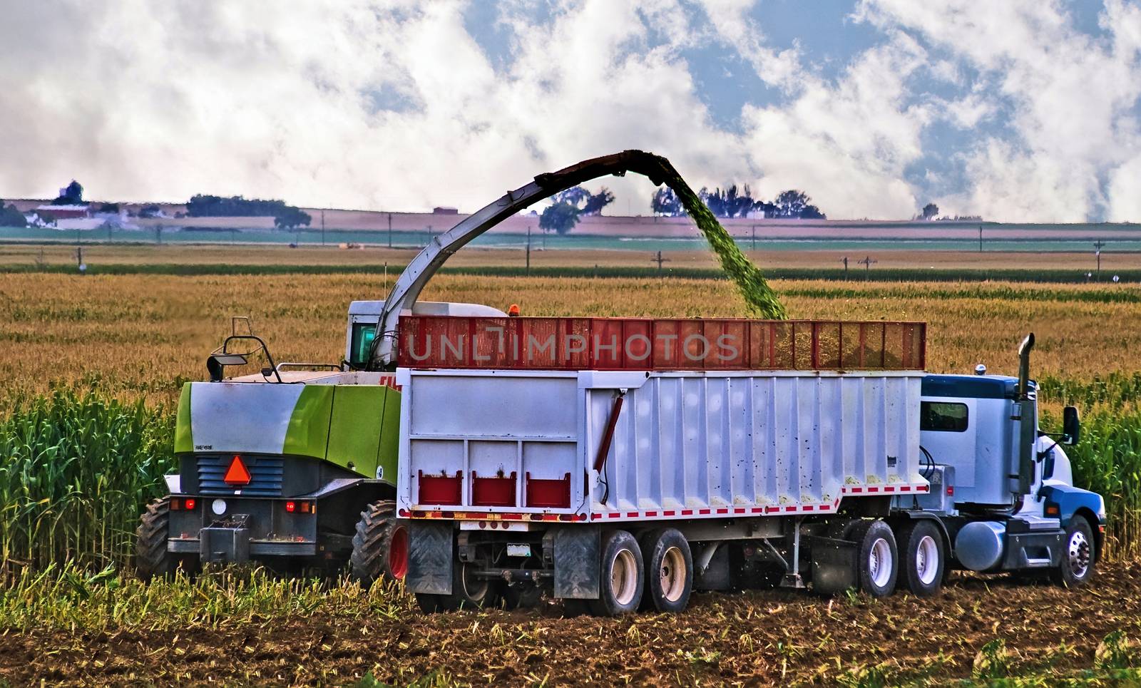 A farmer harvest his crop after the summers growth