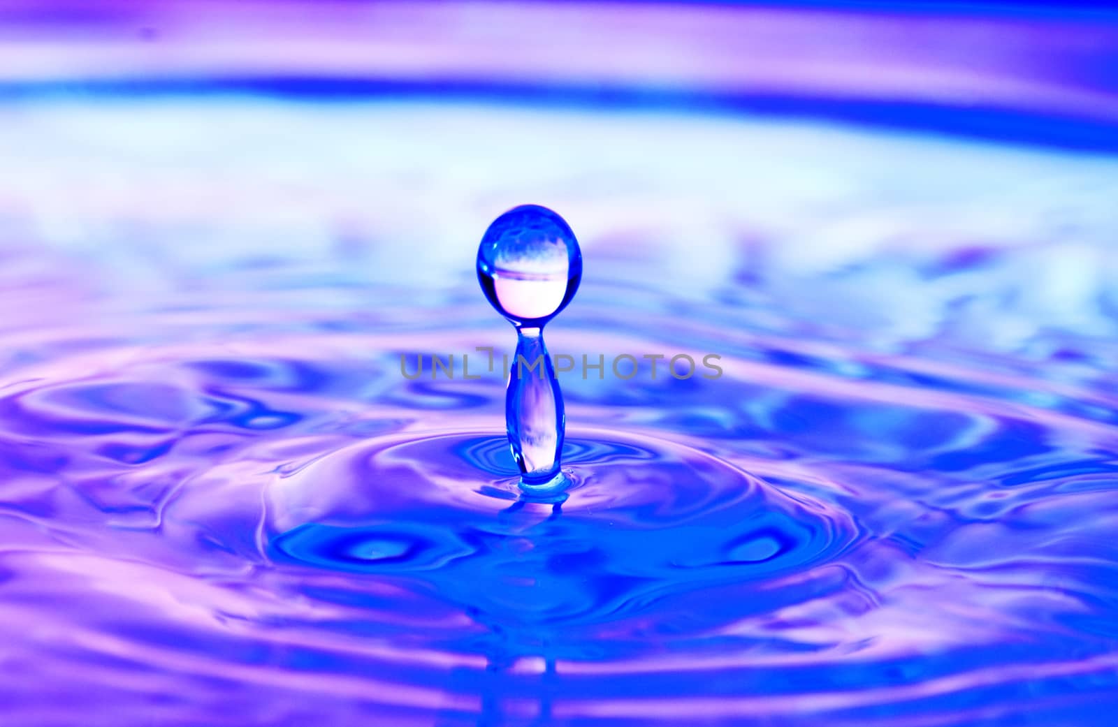 Stop action of ripples from a water drop with purple reflection