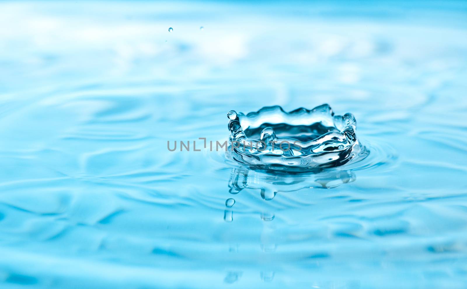 Water splash forming a coronet as it reacts to the droplet.